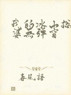 我的冰山总裁老婆无弹窗