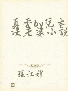 真香by凭本事没老婆小说免费阅读