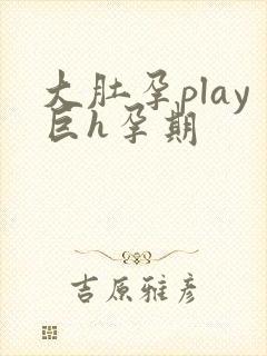 大肚孕play巨h孕期