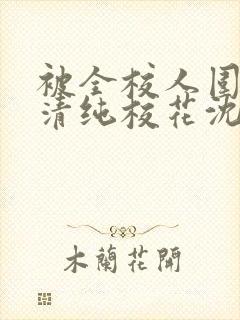 被全校人围观的清纯校花沈清清小说封面