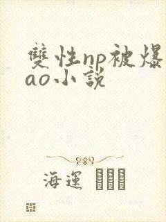 双性np被爆cao小说