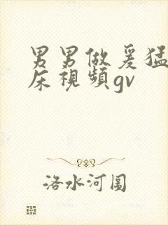 男男做爰猛烈叫床视频gv封面