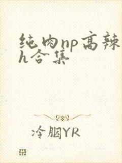 纯肉np高辣文h合集