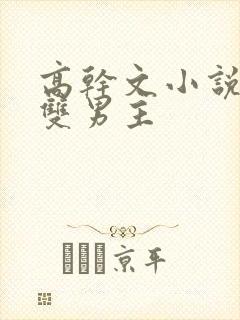 高干文小说推荐双男主封面