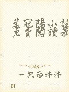 叶冠阳小说全文免费阅读最新章节