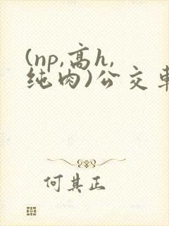 (np,高h,纯肉)公交车群p