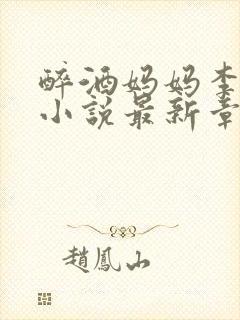 醉酒妈妈李淑敏小说最新章节更新时封面