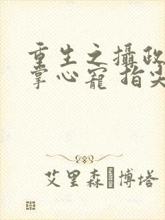 重生之摄政王的掌心宠 指尖方寸