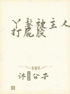 丫鬟被主人折磨打屁股封面