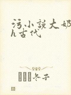 污小说大奶子高h古代