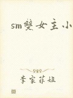 sm双女主小说封面