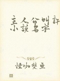 主人公叫许安的小说名字