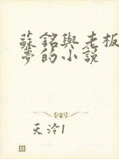 苏铭与老板娘沈梦的小说封面