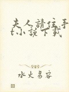 夫人请住手txt小说下载