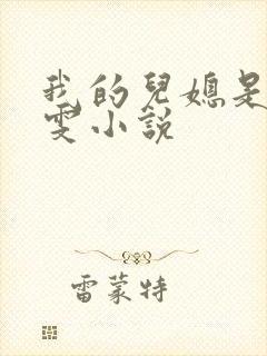 我的儿媳是张晓雯小说