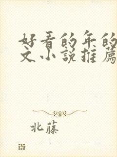 好看的年的年代文小说推荐