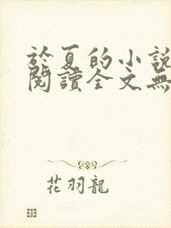 于夏的小说免费阅读全文无弹窗