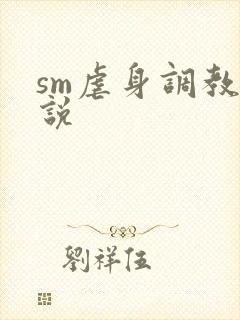 sm虐身调教小说封面