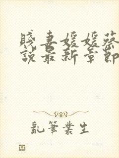 贱妻媛媛蔡叔小说最新章节更新封面