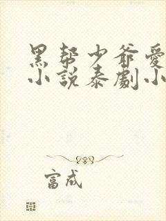 黑帮少爷爱上我小说泰剧小说封面