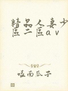 精品人妻少妇一区二区aⅴ封面