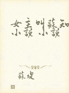 女主叫苏知意的小说 小说封面
