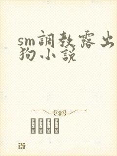 sm调教露出母狗小说