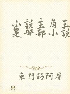 小说主角王斌 是哪部小说