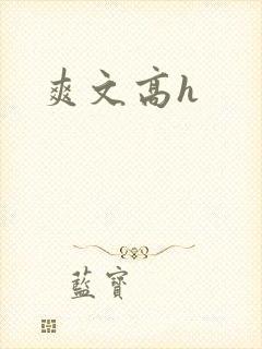 爽文高h
