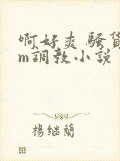 啊好爽 骚货sm调教小说封面