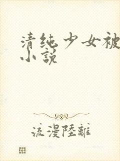 清纯少女被,,小说