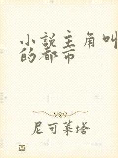 小说主角叫叶凡的都市