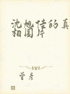 沈旭佳的真实长相图片