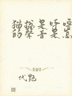 猫总是呼噜呼噜的声音是怎么回事