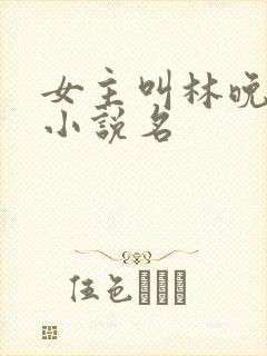 女主叫林晚星的小说名封面