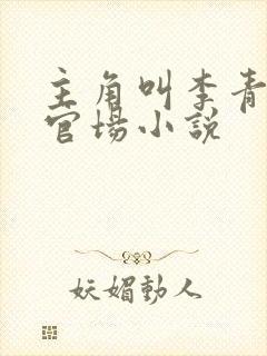 主角叫李青云的官场小说