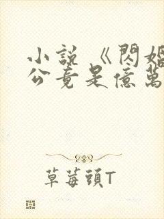 小说 《闪婚老公竟是亿万总裁》