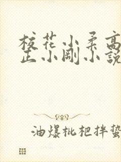 校花小柔高达小正小刚小说