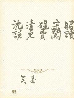 沈清砚宋昭汐小说免费阅读最新章节