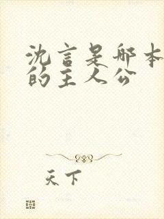 沈言是哪本小说的主人公封面