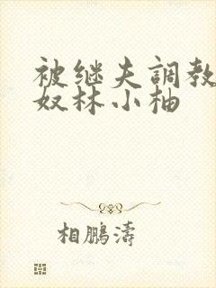 被继夫调教成肉奴林小柚