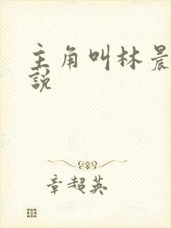 主角叫林晨的小说