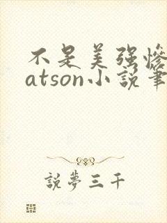 不是美强惨是batson小说笔趣阁