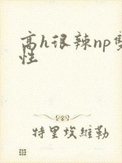 高h很辣np双性