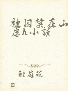 被囚禁在山村淫虐h小说