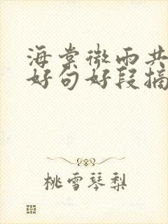 海棠微雨共归途好句好段摘抄