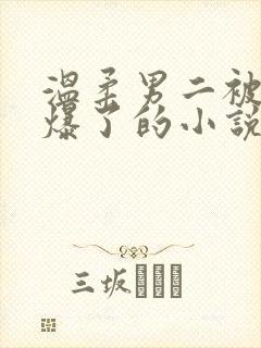 温柔男二被男主爆了的小说