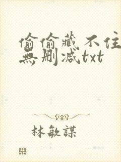 偷偷藏不住番外无删减txt