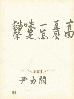 猫咪一直有呼噜声是怎么回事