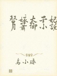 替嫁太子妃苏婉月萧御小说免费阅读